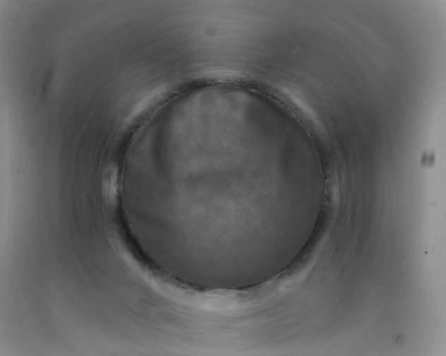 X0000092000024200709201519