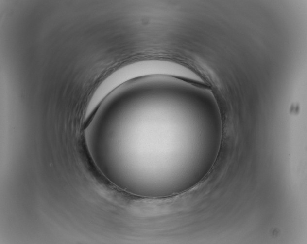 X0000092000025200709201519