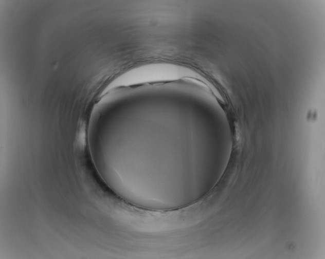 X0000092000027200709201519