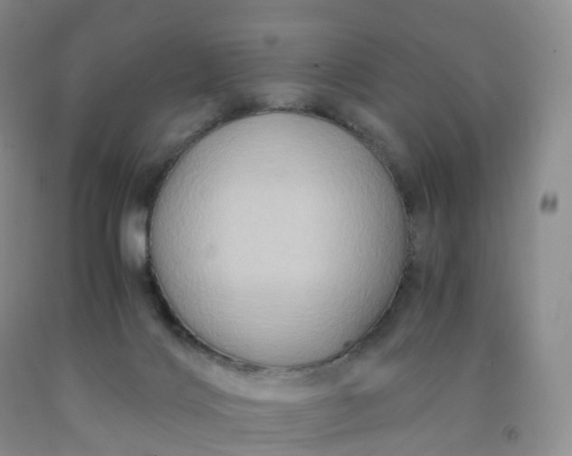 X0000092000028200709201519