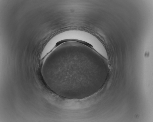 X0000092000029200709201519