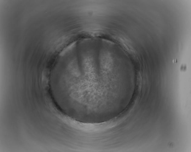 X0000092000030200709201519