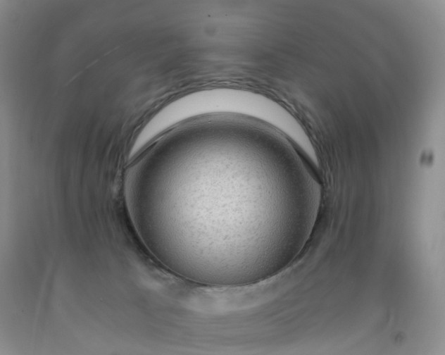 X0000092000033200709201519