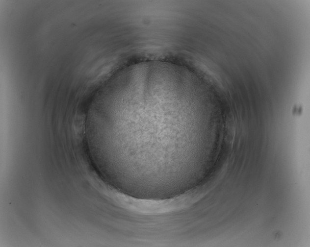 X0000092000034200709201518