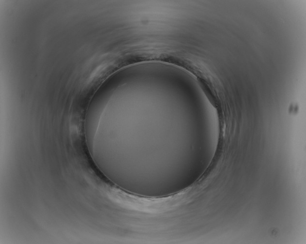 X0000092000035200709201518