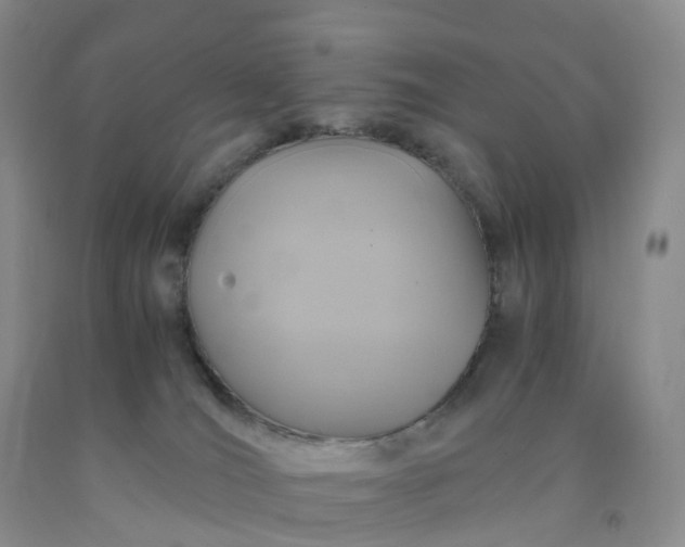 X0000092000036200709201518