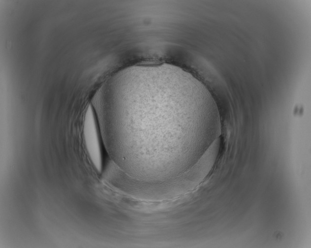 X0000092000037200709201518