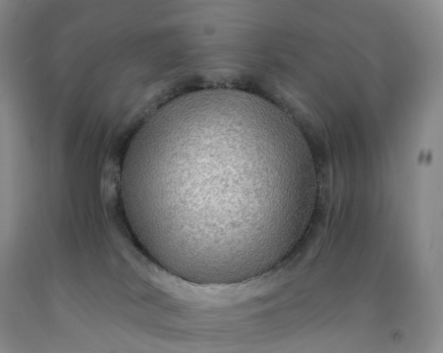 X0000092000038200709201518