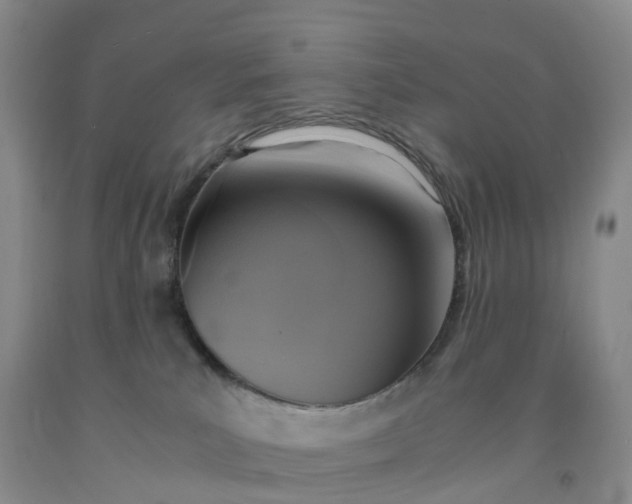 X0000092000039200709201518