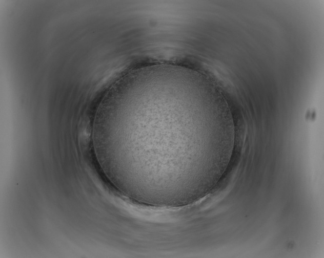 X0000092000040200709201518