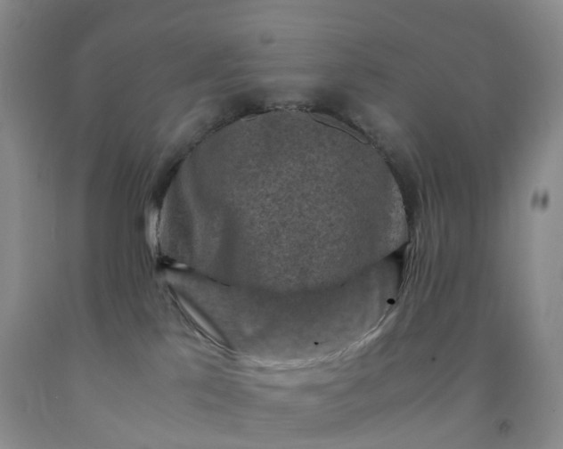 X0000092000041200709201518