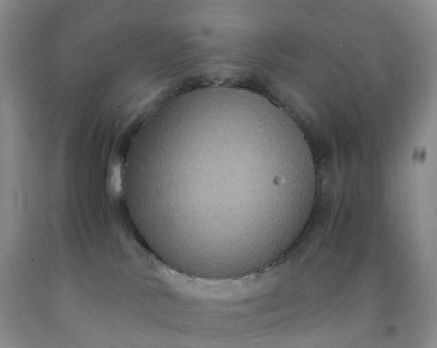 X0000092000042200709201518