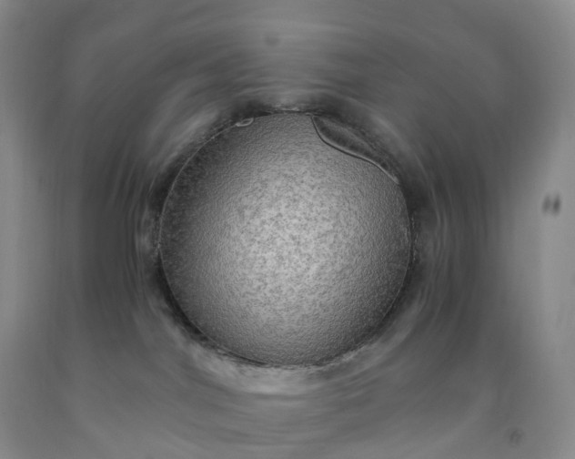 X0000092000044200709201518