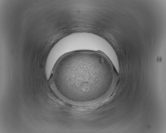 X0000092000045200709201518