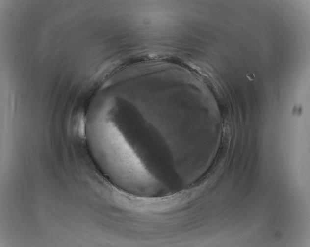 X0000092000046200709201518