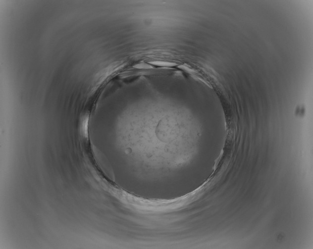 X0000092000047200709201518