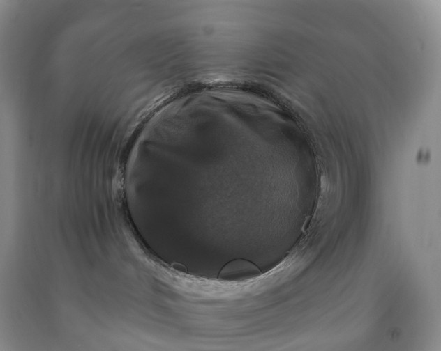 X0000092000048200709201518