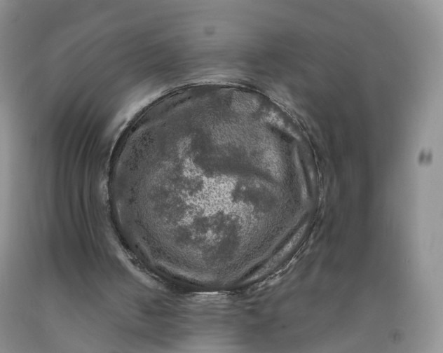 X0000092000050200709201517