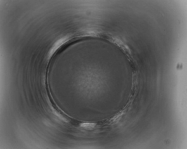 X0000092000051200709201518