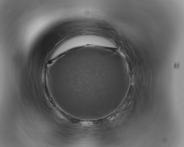 X0000092000052200709201518