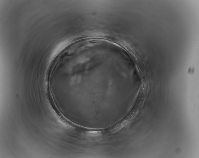 X0000092000053200709201518