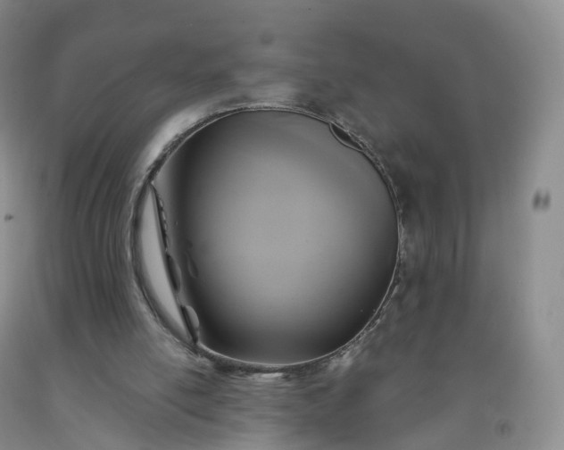 X0000092000054200709201518