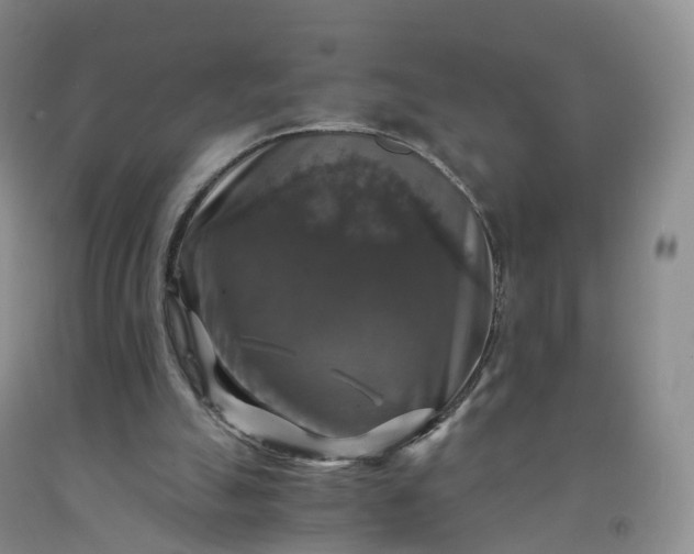 X0000092000055200709201518