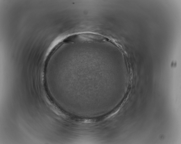 X0000092000056200709201518