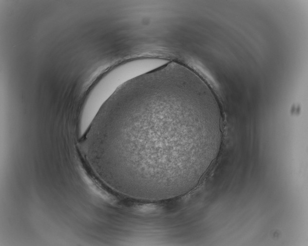 X0000092000058200709201518