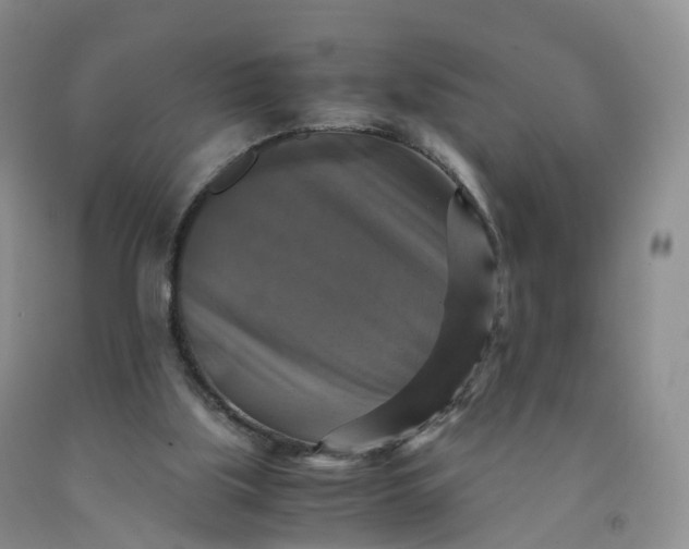 X0000092000059200709201518