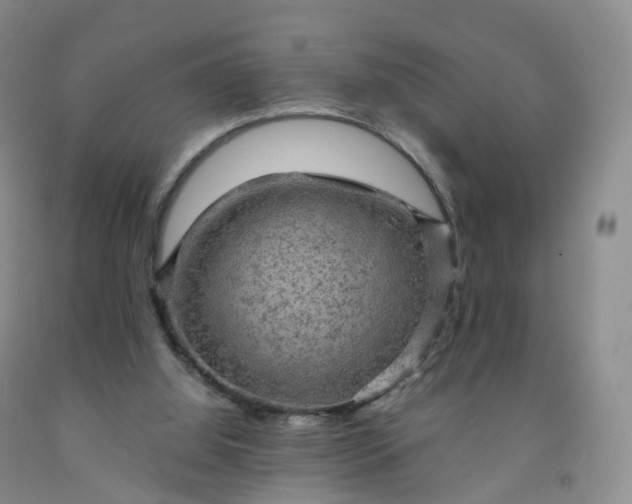 X0000092000060200709201518