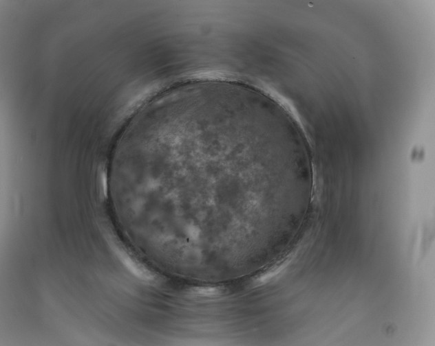 X0000092000061200709201518