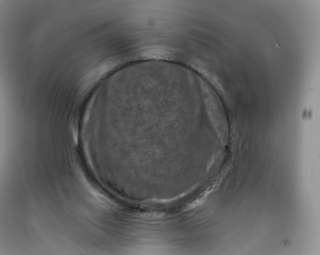 X0000092000062200709201518