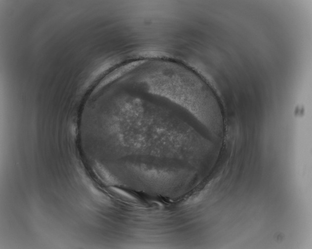 X0000092000063200709201518