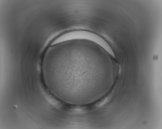 X0000092000064200709201518