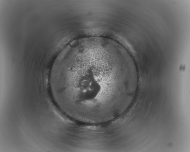 X0000092000065200709201518