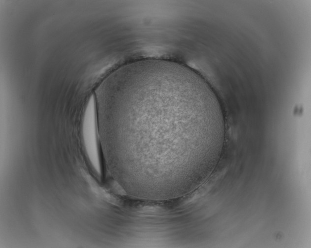 X0000092000066200709201518