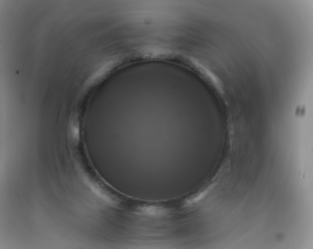 X0000092000067200709201518