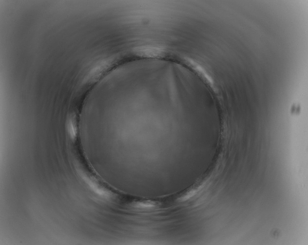 X0000092000069200709201518