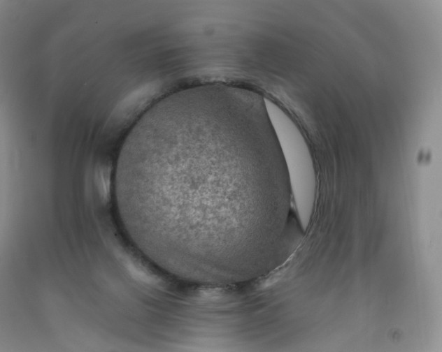 X0000092000070200709201518