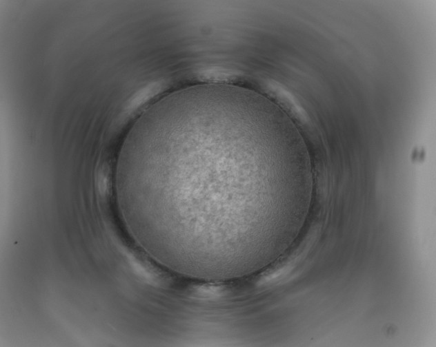 X0000092000071200709201518