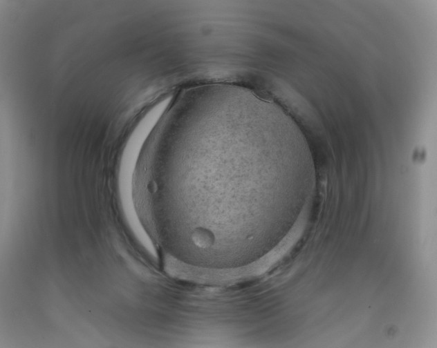 X0000092000072200709201518