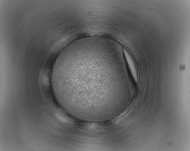 X0000092000074200709201518