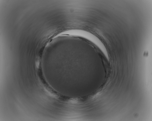 X0000092000076200709201518