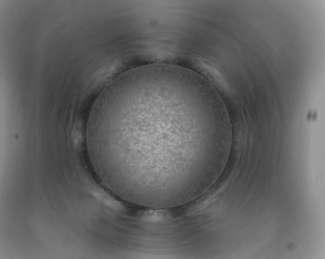 X0000092000077200709201518