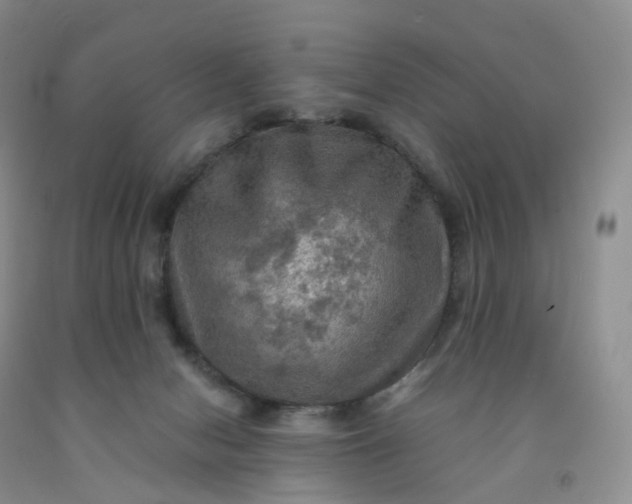 X0000092000078200709201518