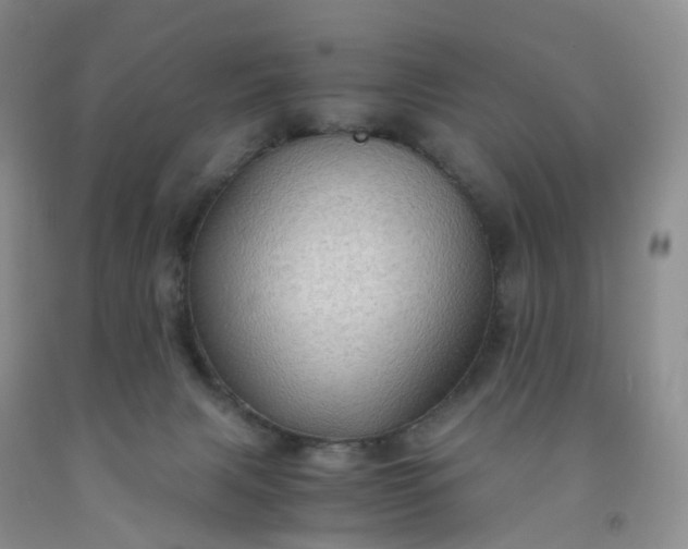 X0000092000079200709201518