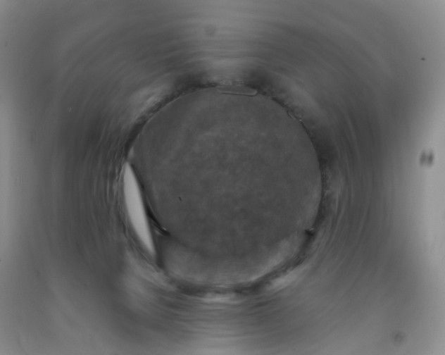 X0000092000080200709201518