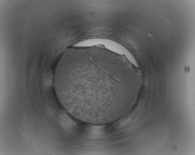 X0000092000081200709201518