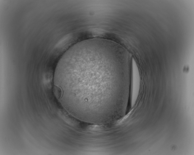 X0000092000082200709201518